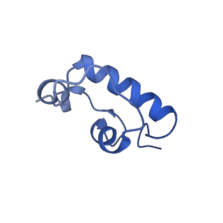 11713_7ac7_w_v1-1
Structure of accomodated trans-translation complex on E. Coli stalled ribosome.