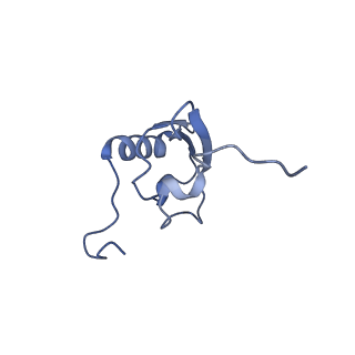 11713_7ac7_x_v1-1
Structure of accomodated trans-translation complex on E. Coli stalled ribosome.