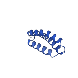 11713_7ac7_y_v1-1
Structure of accomodated trans-translation complex on E. Coli stalled ribosome.