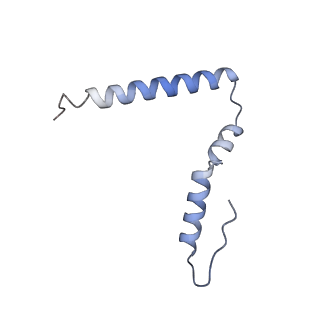 11713_7ac7_z_v1-1
Structure of accomodated trans-translation complex on E. Coli stalled ribosome.