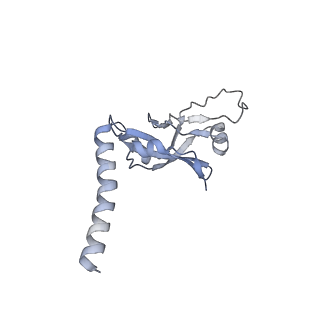 11717_7acj_5_v1-1
Structure of translocated trans-translation complex on E. coli stalled ribosome.
