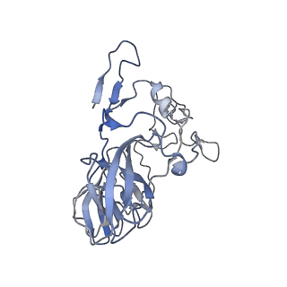 11717_7acj_B_v1-1
Structure of translocated trans-translation complex on E. coli stalled ribosome.