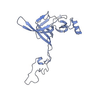 11717_7acj_C_v1-1
Structure of translocated trans-translation complex on E. coli stalled ribosome.
