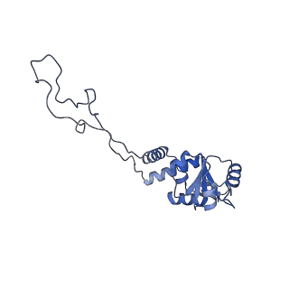 11717_7acj_D_v1-1
Structure of translocated trans-translation complex on E. coli stalled ribosome.