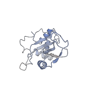 11717_7acj_E_v1-1
Structure of translocated trans-translation complex on E. coli stalled ribosome.