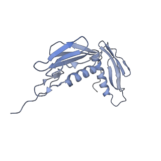 11717_7acj_F_v1-1
Structure of translocated trans-translation complex on E. coli stalled ribosome.