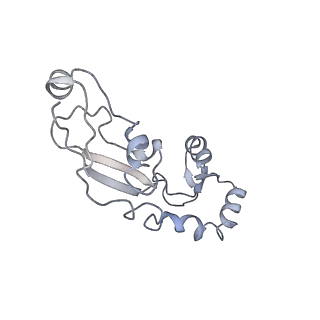 11717_7acj_G_v1-1
Structure of translocated trans-translation complex on E. coli stalled ribosome.