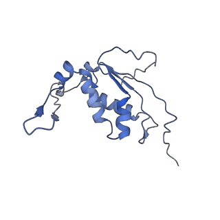 11717_7acj_J_v1-1
Structure of translocated trans-translation complex on E. coli stalled ribosome.