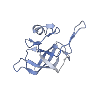 11717_7acj_K_v1-1
Structure of translocated trans-translation complex on E. coli stalled ribosome.