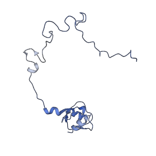 11717_7acj_L_v1-1
Structure of translocated trans-translation complex on E. coli stalled ribosome.
