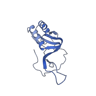 11717_7acj_M_v1-1
Structure of translocated trans-translation complex on E. coli stalled ribosome.