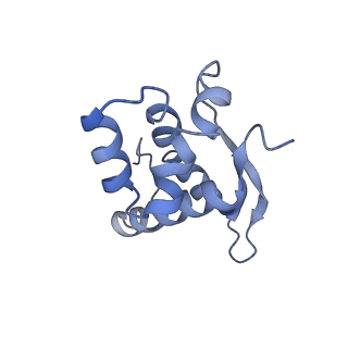 11717_7acj_N_v1-1
Structure of translocated trans-translation complex on E. coli stalled ribosome.