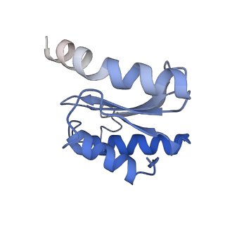 11717_7acj_O_v1-1
Structure of translocated trans-translation complex on E. coli stalled ribosome.