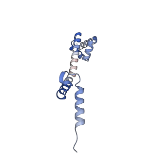11717_7acj_Q_v1-1
Structure of translocated trans-translation complex on E. coli stalled ribosome.