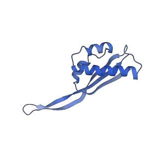 11717_7acj_S_v1-1
Structure of translocated trans-translation complex on E. coli stalled ribosome.