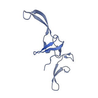 11717_7acj_U_v1-1
Structure of translocated trans-translation complex on E. coli stalled ribosome.