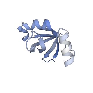 11717_7acj_V_v1-1
Structure of translocated trans-translation complex on E. coli stalled ribosome.