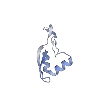 11717_7acj_X_v1-1
Structure of translocated trans-translation complex on E. coli stalled ribosome.