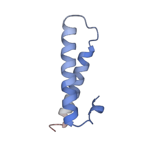 11717_7acj_Y_v1-1
Structure of translocated trans-translation complex on E. coli stalled ribosome.