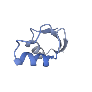 11717_7acj_Z_v1-1
Structure of translocated trans-translation complex on E. coli stalled ribosome.