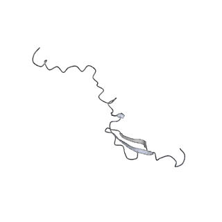 11717_7acj_a_v1-1
Structure of translocated trans-translation complex on E. coli stalled ribosome.