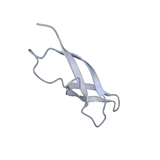 11717_7acj_c_v1-1
Structure of translocated trans-translation complex on E. coli stalled ribosome.