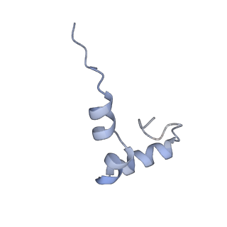 11717_7acj_d_v1-1
Structure of translocated trans-translation complex on E. coli stalled ribosome.
