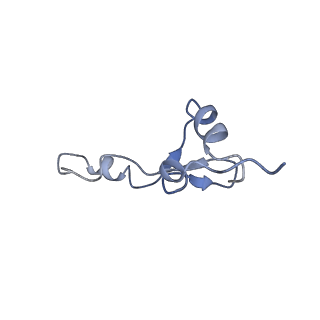 11717_7acj_e_v1-1
Structure of translocated trans-translation complex on E. coli stalled ribosome.