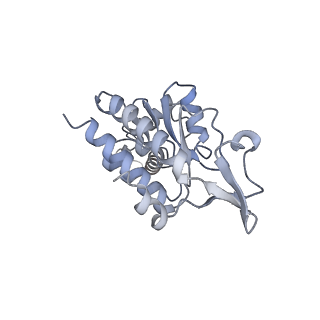 11717_7acj_g_v1-1
Structure of translocated trans-translation complex on E. coli stalled ribosome.