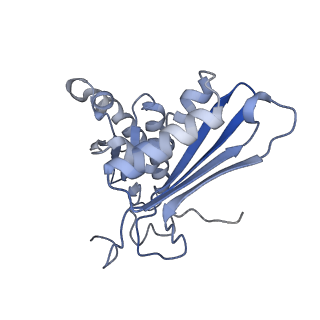 11717_7acj_h_v1-1
Structure of translocated trans-translation complex on E. coli stalled ribosome.