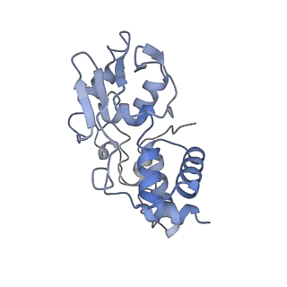 11717_7acj_i_v1-1
Structure of translocated trans-translation complex on E. coli stalled ribosome.