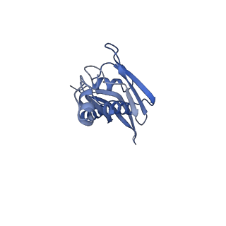 11717_7acj_j_v1-1
Structure of translocated trans-translation complex on E. coli stalled ribosome.