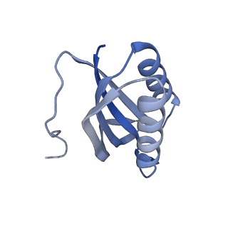 11717_7acj_k_v1-1
Structure of translocated trans-translation complex on E. coli stalled ribosome.