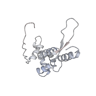 11717_7acj_l_v1-1
Structure of translocated trans-translation complex on E. coli stalled ribosome.
