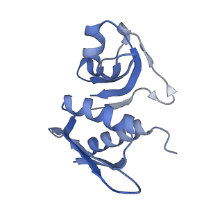 11717_7acj_m_v1-1
Structure of translocated trans-translation complex on E. coli stalled ribosome.