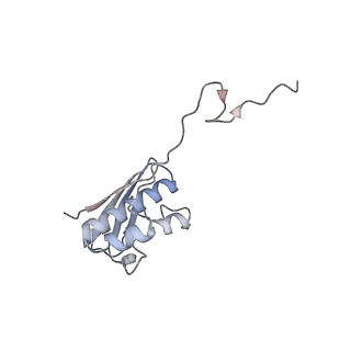 11717_7acj_n_v1-1
Structure of translocated trans-translation complex on E. coli stalled ribosome.