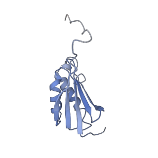 11717_7acj_p_v1-1
Structure of translocated trans-translation complex on E. coli stalled ribosome.