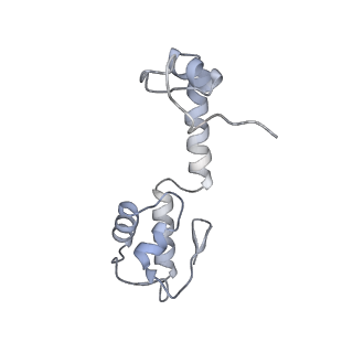 11717_7acj_r_v1-1
Structure of translocated trans-translation complex on E. coli stalled ribosome.