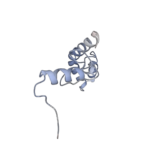 11717_7acj_s_v1-1
Structure of translocated trans-translation complex on E. coli stalled ribosome.