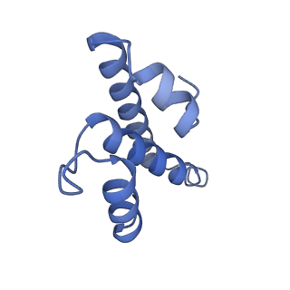 11717_7acj_t_v1-1
Structure of translocated trans-translation complex on E. coli stalled ribosome.
