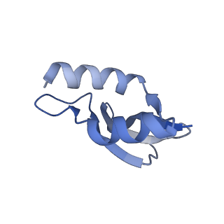 11717_7acj_u_v1-1
Structure of translocated trans-translation complex on E. coli stalled ribosome.