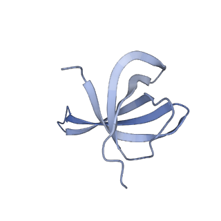 11717_7acj_v_v1-1
Structure of translocated trans-translation complex on E. coli stalled ribosome.