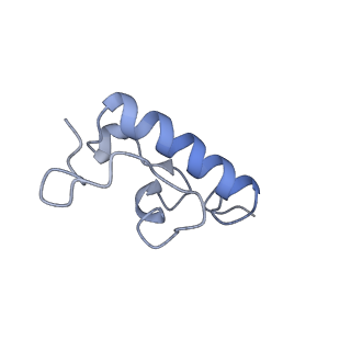 11717_7acj_w_v1-1
Structure of translocated trans-translation complex on E. coli stalled ribosome.