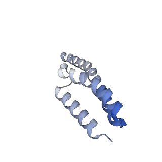 11717_7acj_y_v1-1
Structure of translocated trans-translation complex on E. coli stalled ribosome.