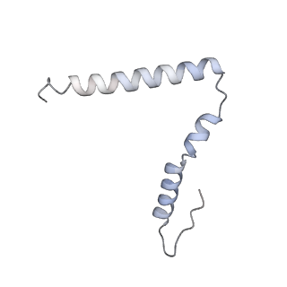 11717_7acj_z_v1-1
Structure of translocated trans-translation complex on E. coli stalled ribosome.