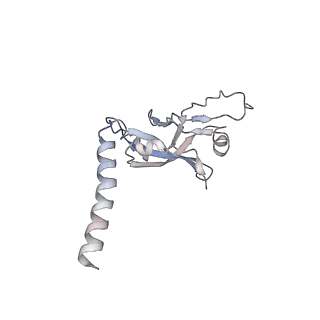11718_7acr_5_v1-1
Structure of post-translocated trans-translation complex on E. coli stalled ribosome.
