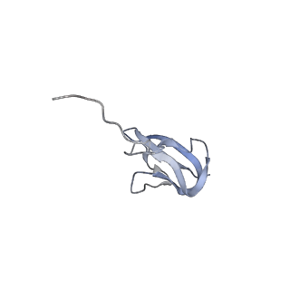 11718_7acr_A_v1-1
Structure of post-translocated trans-translation complex on E. coli stalled ribosome.