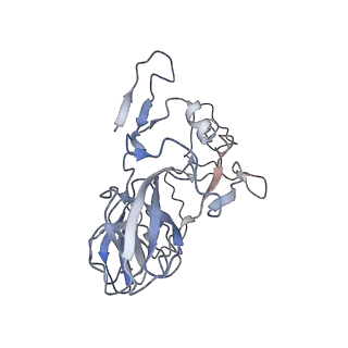 11718_7acr_B_v1-1
Structure of post-translocated trans-translation complex on E. coli stalled ribosome.