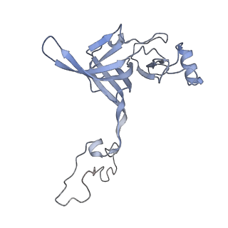 11718_7acr_C_v1-1
Structure of post-translocated trans-translation complex on E. coli stalled ribosome.