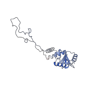 11718_7acr_D_v1-1
Structure of post-translocated trans-translation complex on E. coli stalled ribosome.